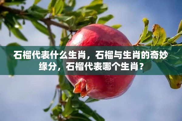 石榴与生肖的奇妙关联，石榴究竟代表哪个生肖？