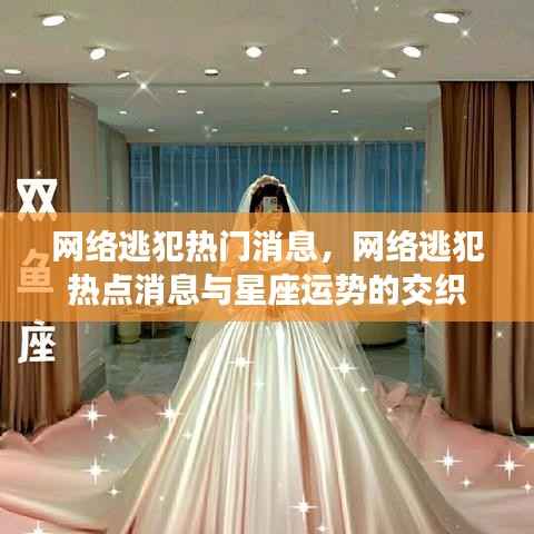 网络逃犯热点消息与星座运势的交汇,揭秘最新动态与趋势
