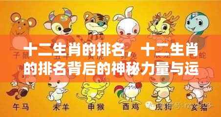 十二生肖排名背后的神秘力量与运势深度解读