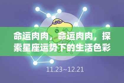 星座运势下的生活色彩探索，命运肉肉之旅
