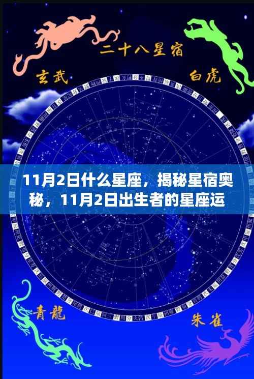 揭秘星宿奥秘，11月2日出生者的星座运势解析及星座特点探索