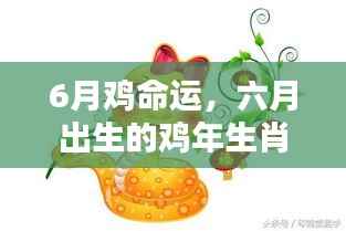 六月出生的鸡年生肖命运解析，如何大放异彩？