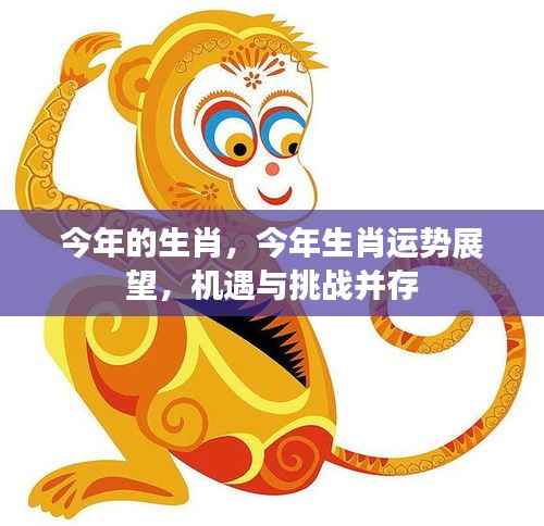 今年生肖运势展望，机遇与挑战同行