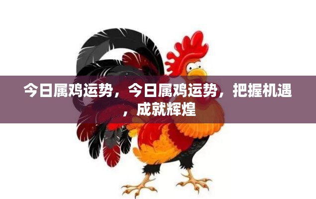 今日属鸡运势详解，把握机遇，成就辉煌人生