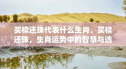 买椟还珠背后的生肖智慧与选择之道