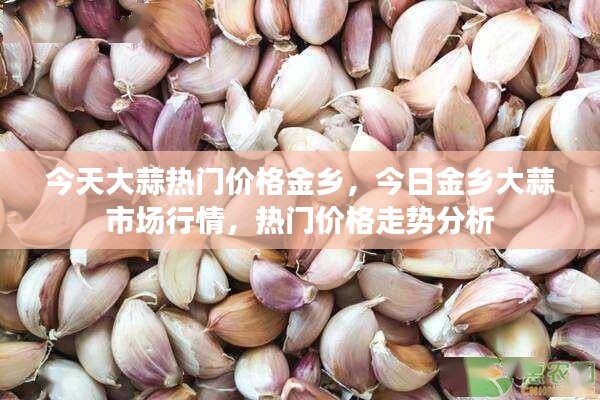 金乡大蒜市场行情解析,今日热门价格与走势分析