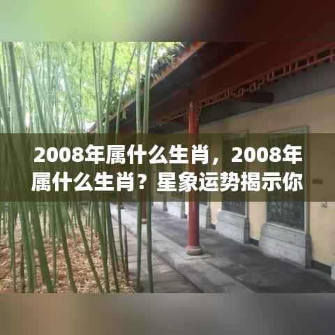 揭秘2008年属相运势，星象运势揭示未来走向