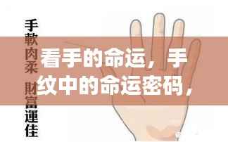 手纹中的命运密码，解读双手揭示的未来蓝图
