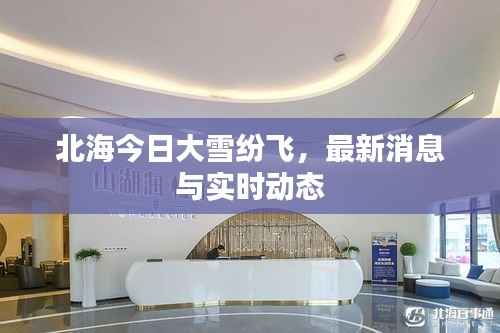 北海今日大雪纷飞，最新消息与实时动态