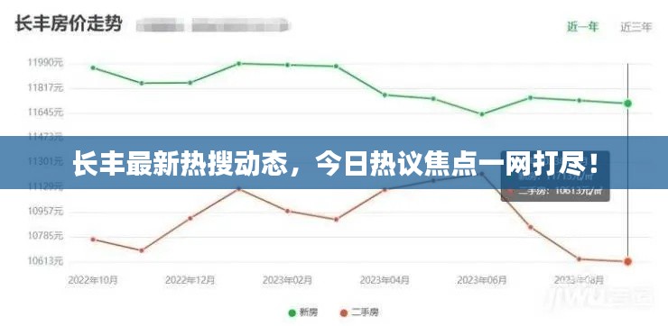 长丰最新热搜动态，今日热议焦点一网打尽！