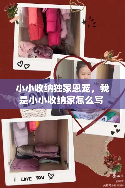 小小收纳独家恩宠，我是小小收纳家怎么写 
