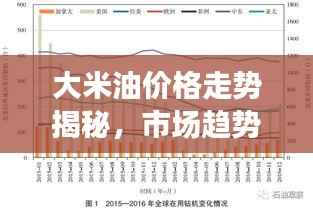 大米油价格走势揭秘，市场趋势与影响因素分析