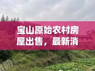 宝山原始农村房屋出售，最新消息抢先看！